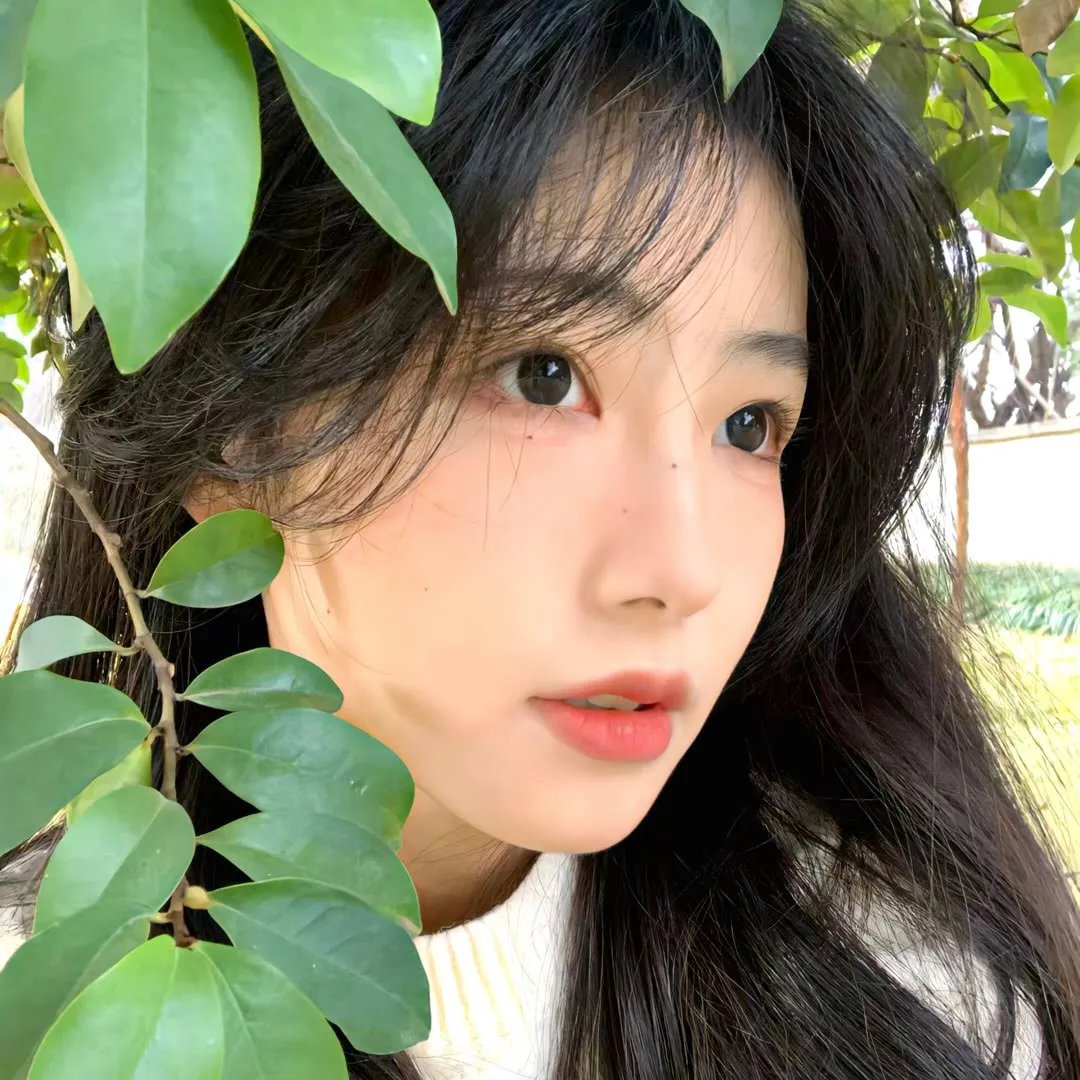 就爱你的谎
