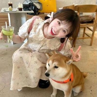 我们爱企鹅